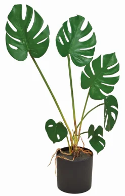 Grünpflanzen|Kunstpflanze Monstera 70 cm