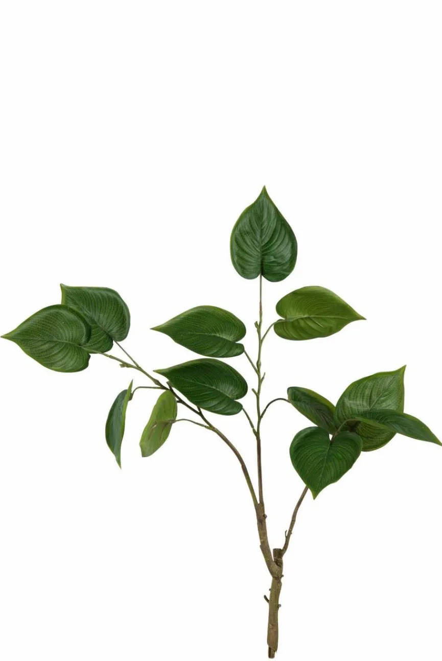 DAHEIM Grünpflanzen|Kunstpflanze Philodendron 76 cm