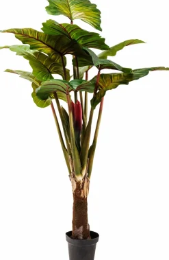 KARE DESIGN Grünpflanzen|Kunstpflanze Rainforest 60720