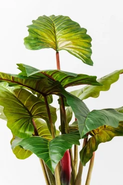 KARE DESIGN Grünpflanzen|Kunstpflanze Rainforest 60720