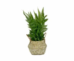 Grünpflanzen|Kunstpflanze Seegras 20 cm