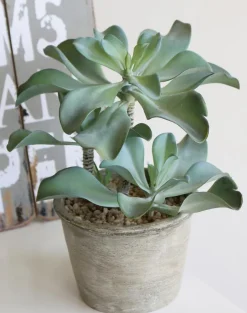 Kunstpflanze Sukkulente 25 cm