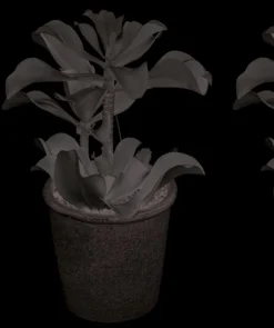 Kunstpflanze Sukkulente 25 cm