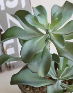 Kunstpflanze Sukkulente 25 cm