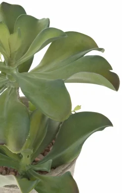 Kunstpflanze Sukkulente 25 cm