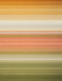 Kuscheldecke Woodland 150 x 200 cm Kuscheldecken|Decken