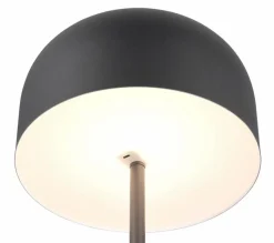 Reality Leuchten Stehlampen|LED-Akkustehlampe Jeff