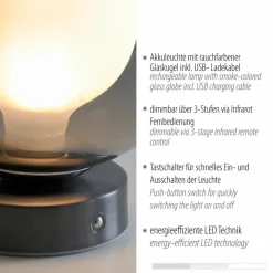 Paul Neuhaus Tischlampen|LED-Akkutischleuchte Popup