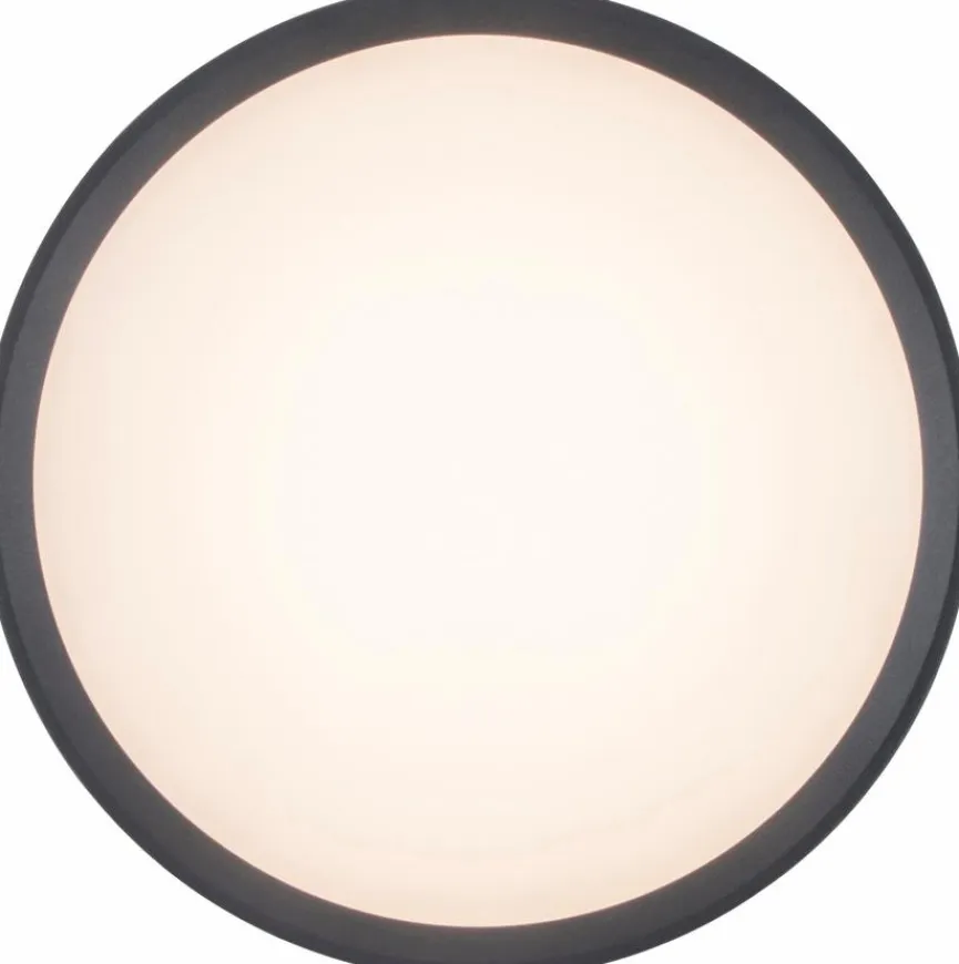 Eco-Light Außenwandleuchten|Außendeckenleuchten|LED-Außenwandleuchte Rola