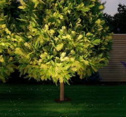 LED-Bodeneinbauleuchte Plug & Shine Wege- & Bodenleuchten|Wege- & Bodenleuchten