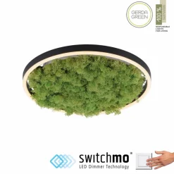 JUST LIGHT. LED-Deckenleuchte Gerda Ritus