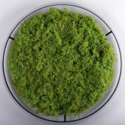 New LED-Deckenleuchte Gerda Ritus Deckenleuchten