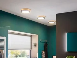 Paulmann LED-Deckenleuchte AVIAR