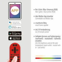 Online LED-Deckenleuchte LS-Asmin Deckenleuchten|Deckenleuchten