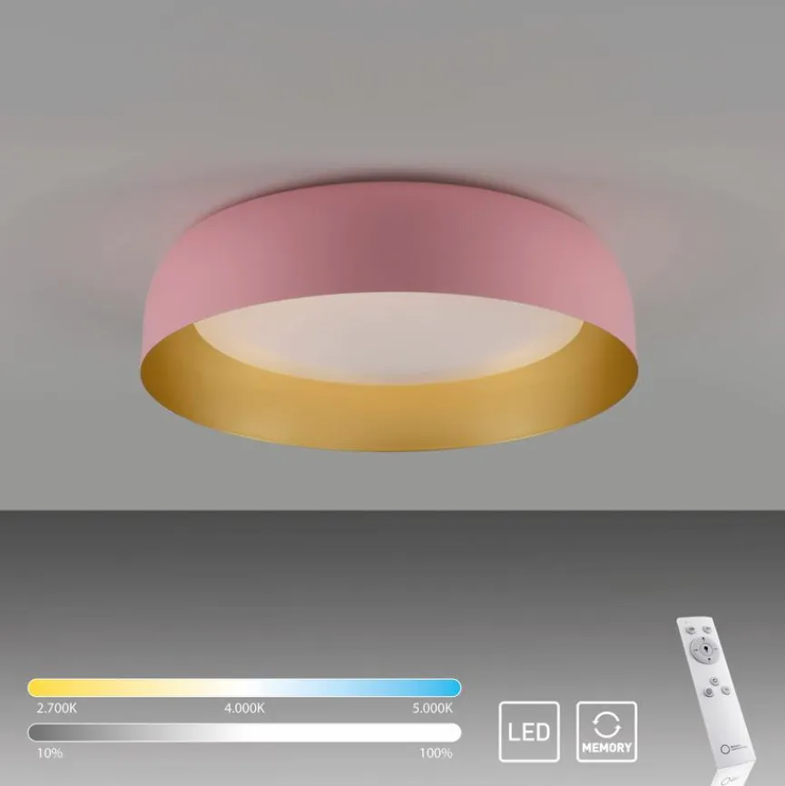 Paul Neuhaus Deckenleuchten|LED-Deckenleuchte Osko