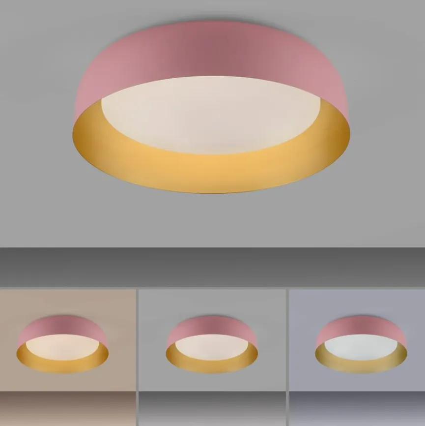 Paul Neuhaus Deckenleuchten|LED-Deckenleuchte Osko