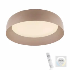 Paul Neuhaus LED-Deckenleuchte Osko