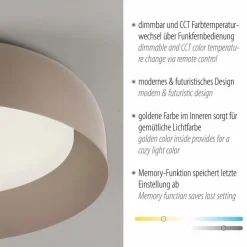 Paul Neuhaus LED-Deckenleuchte Osko