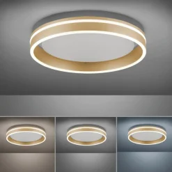 Q SMART HOME LIGHTS Deckenleuchten|Deckenleuchten|LED-Deckenleuchte Q-Vito