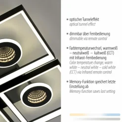 Paul Neuhaus LED-Deckenleuchte Traforo