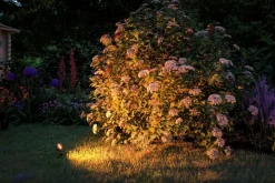 Clearance LED-Erdspieß Plug & Shine Wege- & Bodenleuchten|Wege- & Bodenleuchten