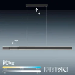 Neuhaus PURE Pendelleuchten|LED-Pendelleuchte Pure Lume