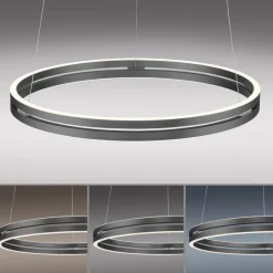 Neuhaus PURE Pendelleuchten|LED-Pendelleuchte Pure-E-Loop