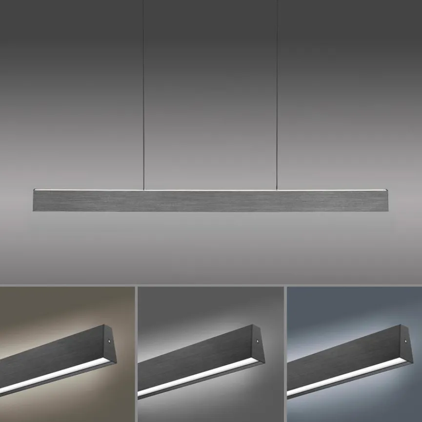 Neuhaus PURE Pendelleuchten|LED-Pendelleuchte Pure-Motion