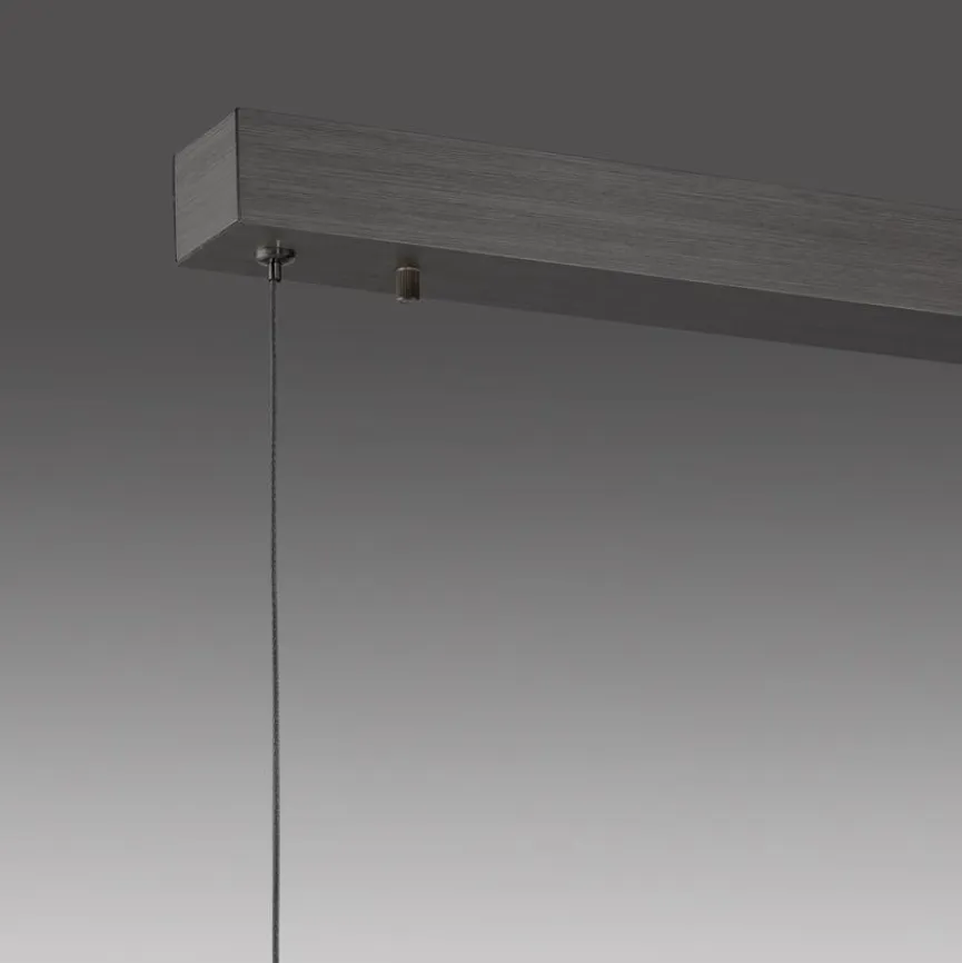 Neuhaus PURE Pendelleuchten|LED-Pendelleuchte Pure-Motion