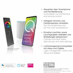 Q SMART HOME LIGHTS Pendelleuchten|Pendelleuchten|LED-Pendelleuchte Q-Vito