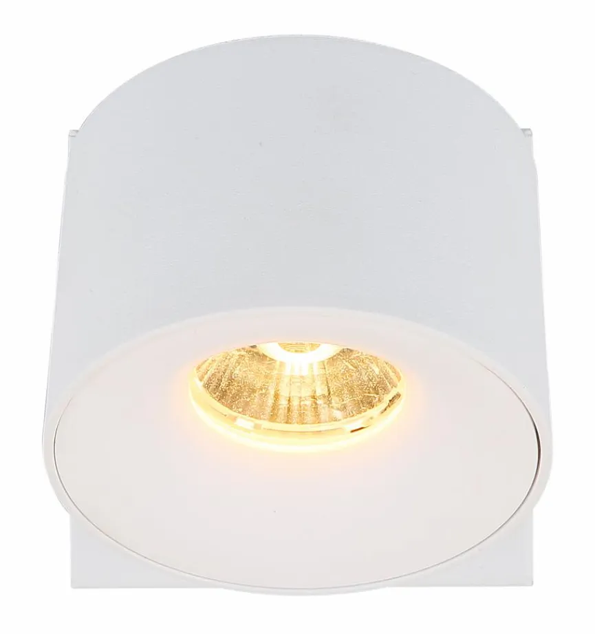 Online LED-Strahler Rae Spots & Strahle