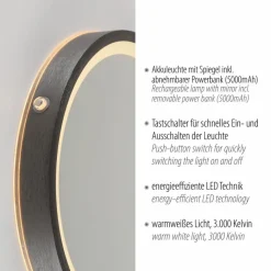 Paul Neuhaus Wandspiegel|LED-Wandspiegel Vidro