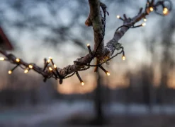 Outlet Lichterkette Flashy Lichterketten