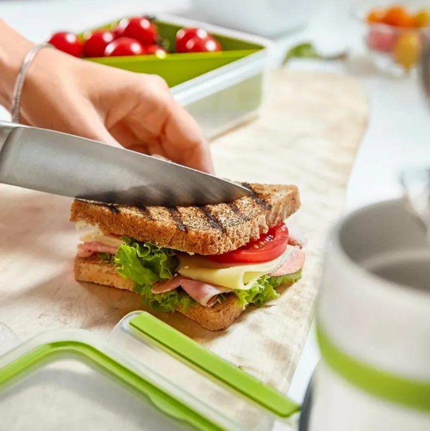 emsa Lunchboxes|Vorratsdosen|Lunchbox Clip&Go 850 ml