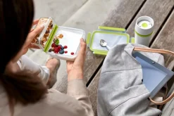 emsa Lunchboxes|Vorratsdosen|Lunchbox Clip&Go 600 ml