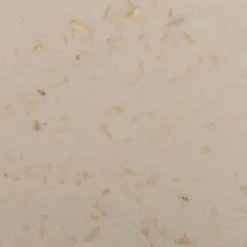 Lunchbox Connect Separee 1500 ml Geschirr