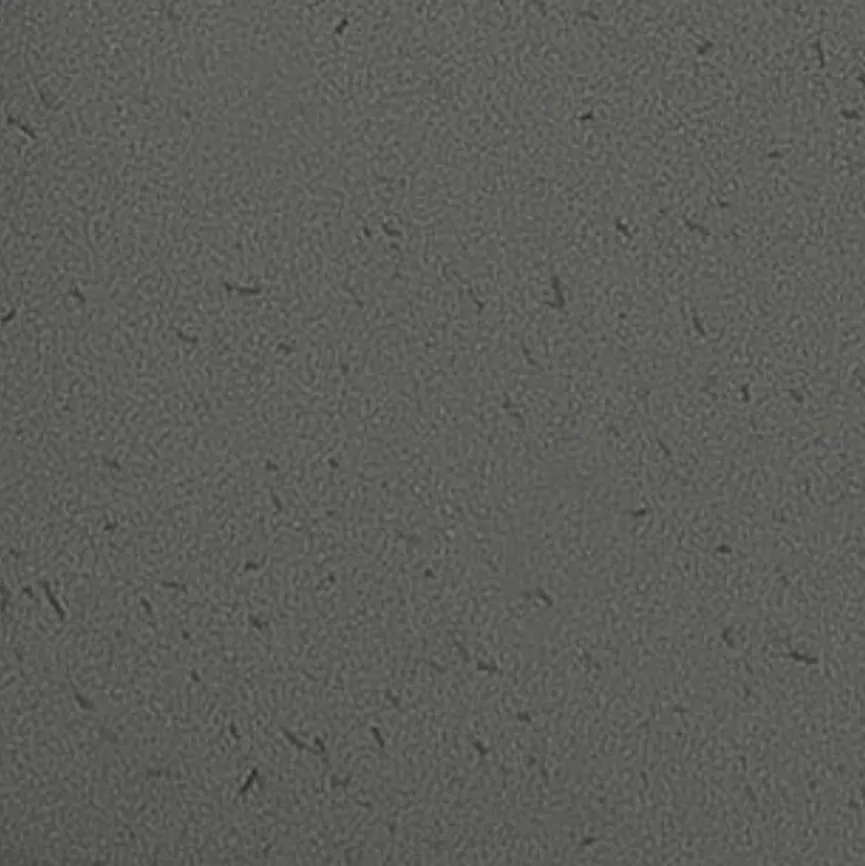 Koziol Lunchbox Pascal Ready 3tlg.