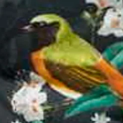 Madison Niedriglehner-Auflage Sadie