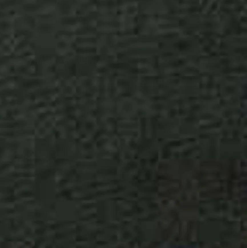 Madison Outdoorkissen|Outdoorkissen|Outdoor-Kissen Canvas Eco+