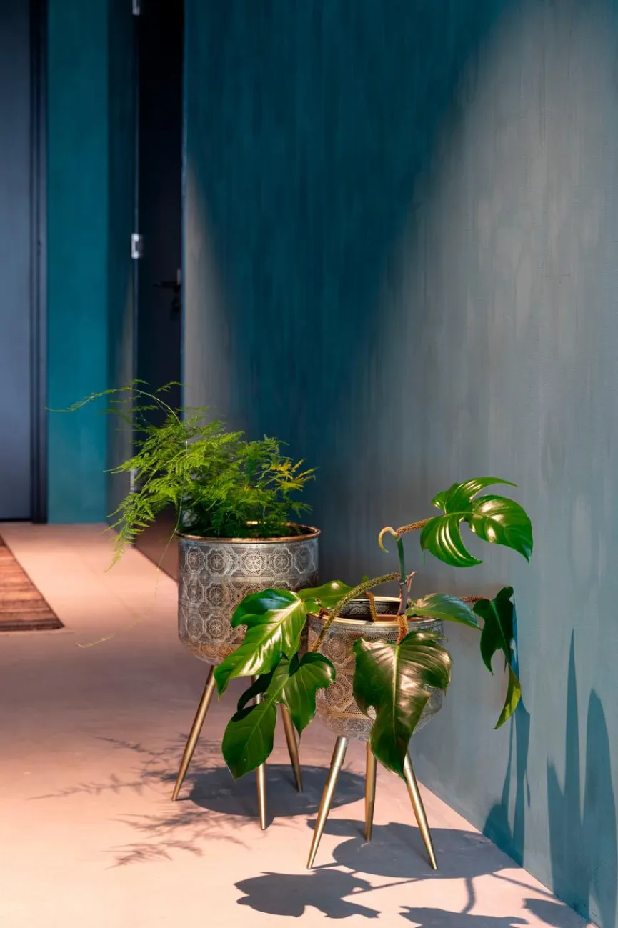 Zuiver Pflanzkübel Botanique