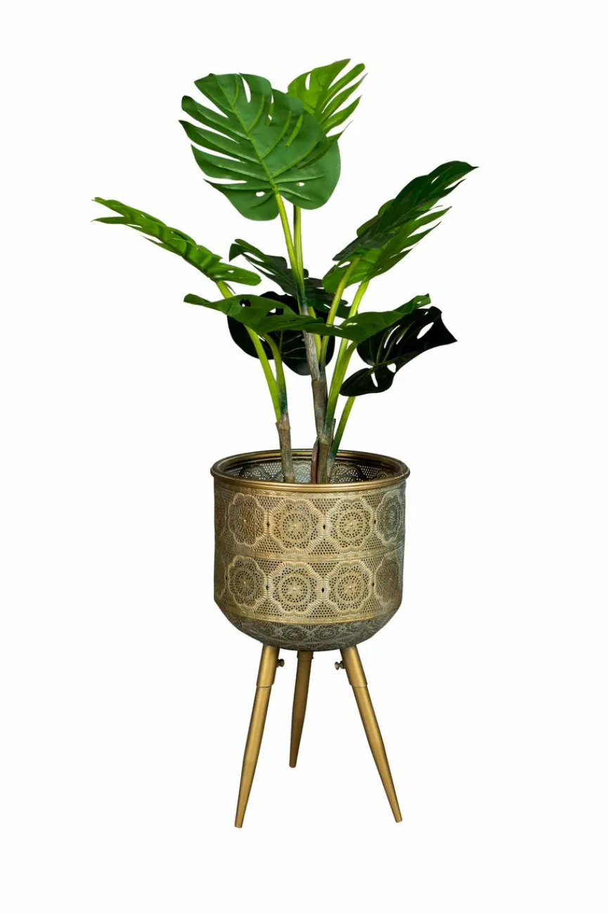 Zuiver Pflanzkübel Botanique