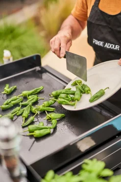 Forge Adour Elektrogrills|Plancha Premium Elektro Plancha 45