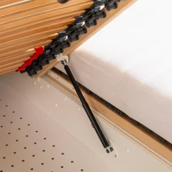 Segmüller Werkstätten Polsterbett Opal