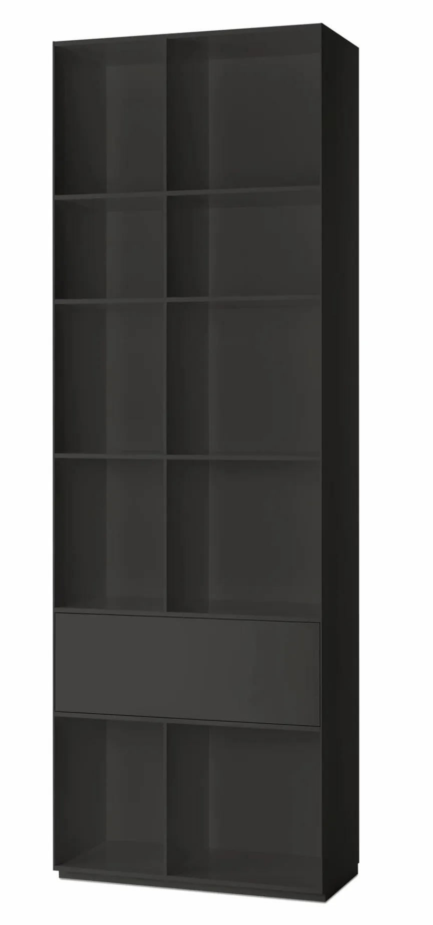 Regale|Regal Nex Pur Regal