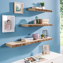 Hot Regalboard Classic Regale