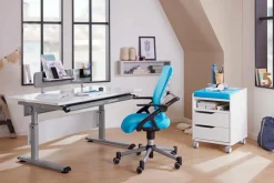 Kinder Paidi Kinder- & Jugendschreibtische|Kinder- & Jugendschreibtische|Rollcontainer