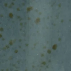 CreaTable Schalen & Schüsseln|Schalen & Schüsseln|Schale Nature Collection 527 ml