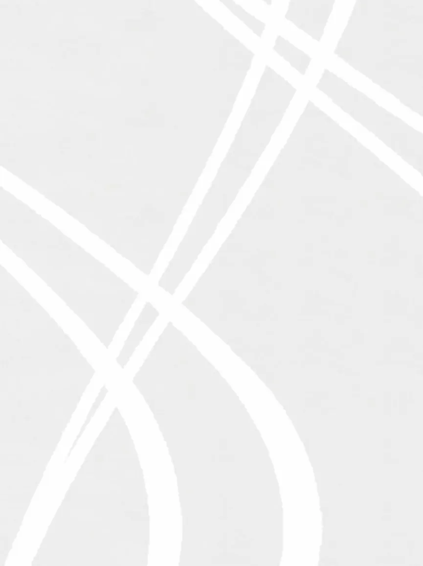 Schmidt Vorhänge & Gardinen|Schiebevorhang Tiberio 60 x 245 cm