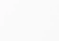 Schrankelement Nex Pur Regal Regale