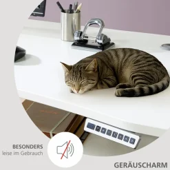 Innostyle Schreibtisch elektrisch Santorin